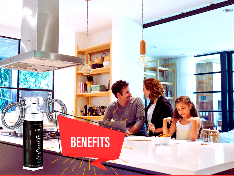 inline water filter benefits