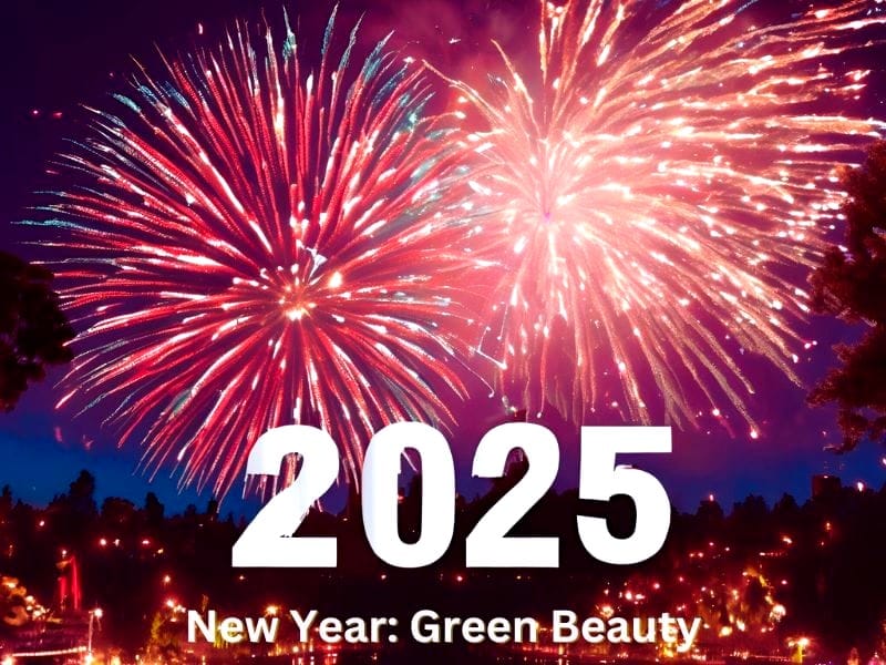 Fireworks light up the night sky, celebrating 2025 with a focus on sustainability and embracing green beauty.