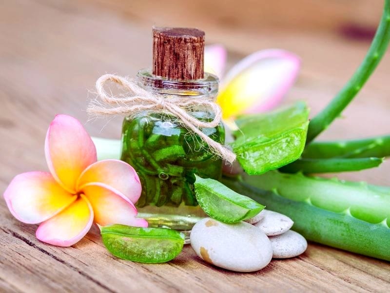 A natural essence bottle with aloe vera and flowers symbolizes the purity and sustainability of hair beauty products.