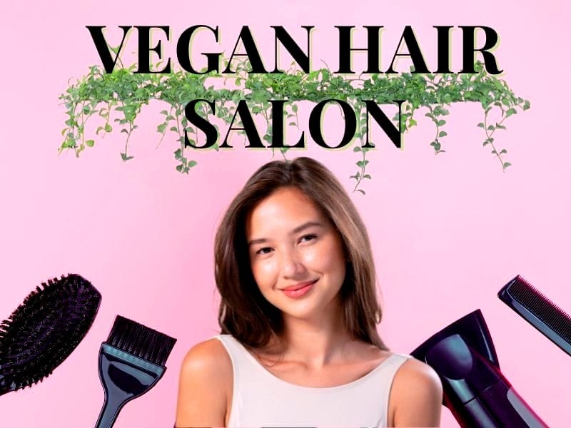 Bright and stylish image of a vegan hair salon featuring eco-friendly tools and a smiling client