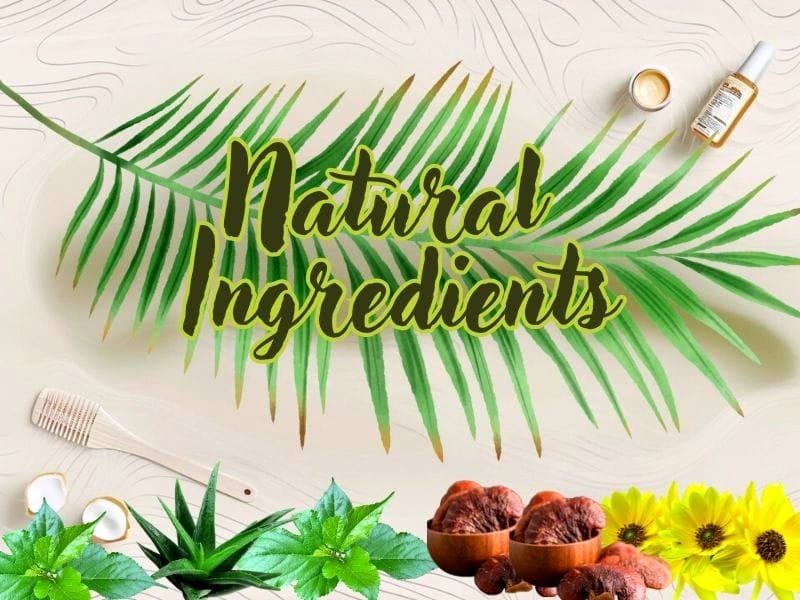 "Natural Ingredients" text with palm leaves, shea nuts, sunflowers, aloe, and skincare products on a beige background