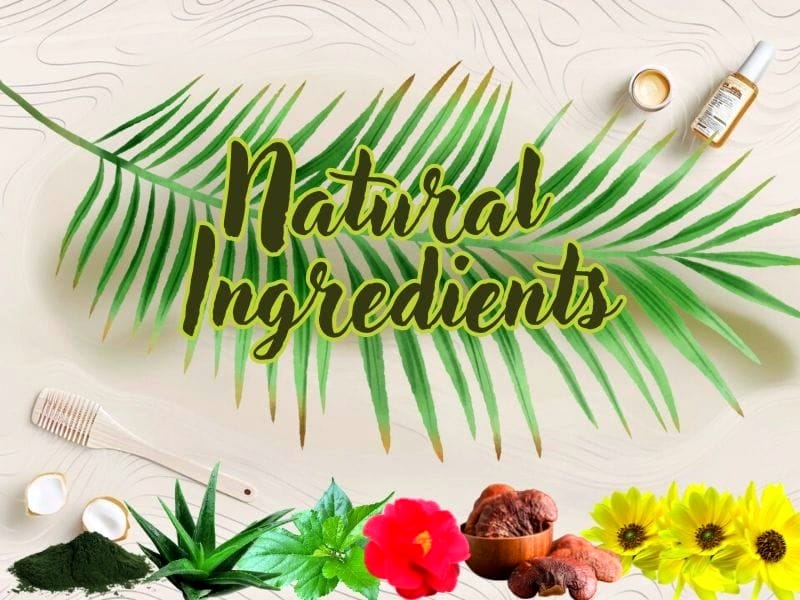 Natural hair care ingredients, including aloe vera, hibiscus, shea butter, and essential oils on palm leaves.