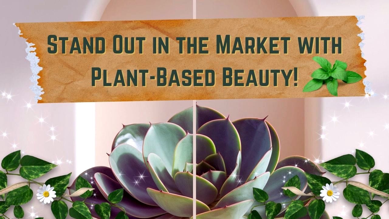 Decorative banner featuring succulents and greenery with the phrase 'plant-based hair care' prominently displayed.